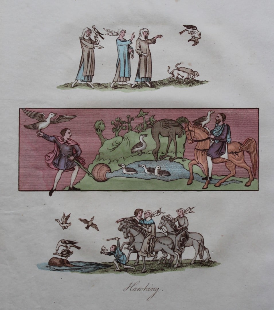 Joseph Strutt - Hunting & Hawking 1801: This beautifully hand-coloured engraved plate is from Glig-Gamena Angel-Deod, or, The Sports and Pastimes of the People of England by Joseph Strutt. Published by T. Bensley & J. White, London 1801. Si