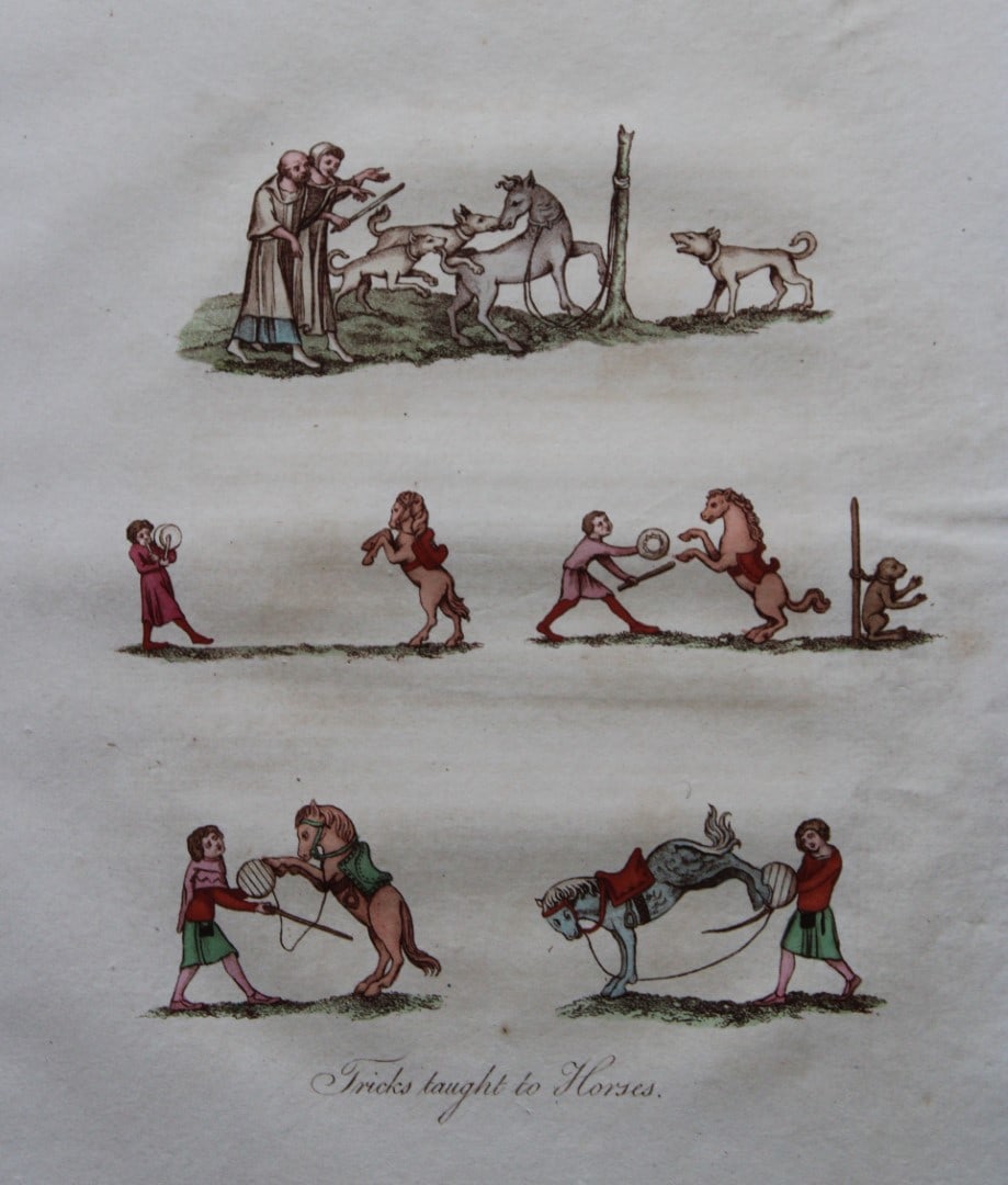 Joseph Strutt - 4 prints of Tutored Animals 1801 (1 of 1)