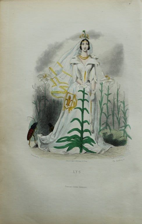 JJ Grandville - Lithograph of Les Fleurs Animees 1846: This charming lithographic print is from Les Fleurs Animees by Jean Jacques Grandville published in 1846. Grandville (pseudonym for Jean Ignace Isador Gerard 1803-1847) worked as an illustrator, paint