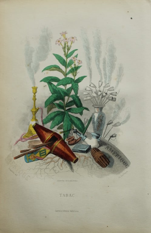 JJ Grandville - Lithograph of Les Fleurs Animees 1846: This charming lithographic print is from Les Fleurs Animees by Jean Jacques Grandville published in 1846. Grandville (pseudonym for Jean Ignace Isador Gerard 1803-1847) worked as an illustrator, paint