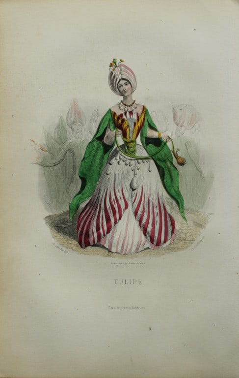 JJ Grandville - Lithograph of Les Fleurs Animees 1846: This charming lithographic print is from Les Fleurs Animees by Jean Jacques Grandville published in 1846. Grandville (pseudonym for Jean Ignace Isador Gerard 1803-1847) worked as an illustrator, paint