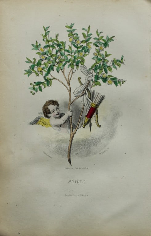 JJ Grandville - Lithograph of Les Fleurs Animees 1846: This charming lithographic print is from Les Fleurs Animees by Jean Jacques Grandville published in 1846. Grandville (pseudonym for Jean Ignace Isador Gerard 1803-1847) worked as an illustrator, paint