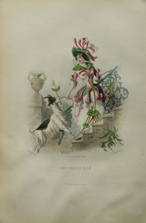 JJ Grandville - Lithograph of Les Fleurs Animees 1846: This charming lithographic print is from Les Fleurs Animees by Jean Jacques Grandville published in 1846. Grandville (pseudonym for Jean Ignace Isador Gerard 1803-1847) worked as an illustrator, paint