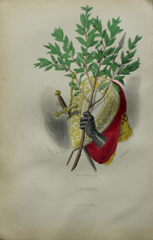 JJ Grandville - Lithograph of Les Fleurs Animees 1846: This charming lithographic print is from Les Fleurs Animees by Jean Jacques Grandville published in 1846. Grandville (pseudonym for Jean Ignace Isador Gerard 1803-1847) worked as an illustrator, paint