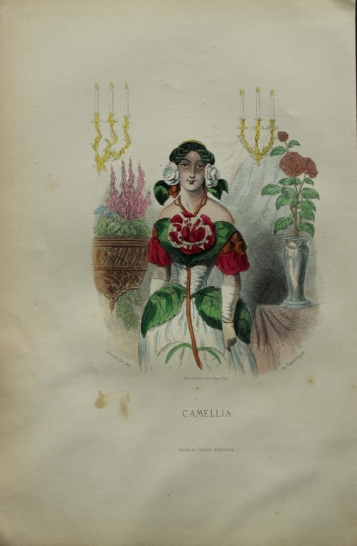 JJ Grandville - Lithograph of Les Fleurs Animees 1846: This charming lithographic print is from Les Fleurs Animees by Jean Jacques Grandville published in 1846. Grandville (pseudonym for Jean Ignace Isador Gerard 1803-1847) worked as an illustrator, paint