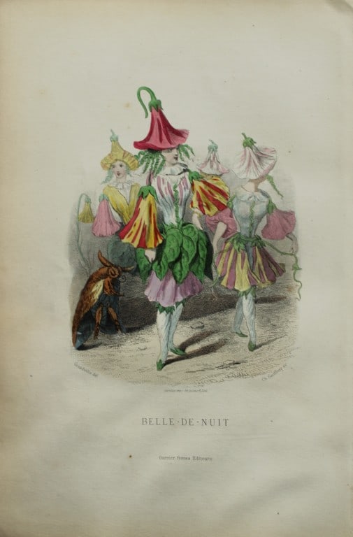 JJ Grandville - Lithograph of Les Fleurs Animees 1846 (1 of 1)