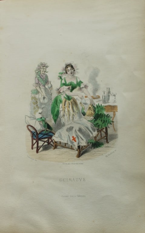 JJ Grandville - Lithograph of Les Fleurs Animees 1846: This charming lithographic print is from Les Fleurs Animees by Jean Jacques Grandville published in 1846. Grandville (pseudonym for Jean Ignace Isador Gerard 1803-1847) worked as an illustrator, paint