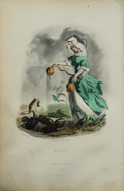 JJ Grandville - Lithograph of Les Fleurs Animees 1846: This charming lithographic print is from Les Fleurs Animees by Jean Jacques Grandville published in 1846. Grandville (pseudonym for Jean Ignace Isador Gerard 1803-1847) worked as an illustrator, paint