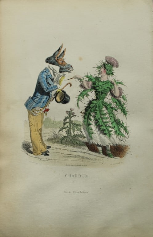 JJ Grandville - Lithograph of Les Fleurs Animees 1846: This charming lithographic print is from Les Fleurs Animees by Jean Jacques Grandville published in 1846. Grandville (pseudonym for Jean Ignace Isador Gerard 1803-1847) worked as an illustrator, paint