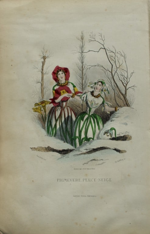 JJ Grandville - Lithograph of Les Fleurs Animees 1846: This charming lithographic print is from Les Fleurs Animees by Jean Jacques Grandville published in 1846. Grandville (pseudonym for Jean Ignace Isador Gerard 1803-1847) worked as an illustrator, paint