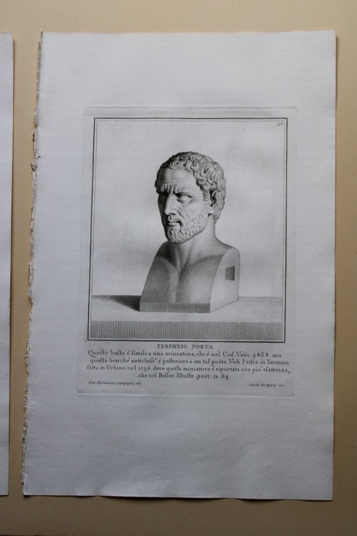 Giovanni Campiglia- Bust of Terenzio Poeta by Carlo Gregori 1741: This engraving is from Del Museo Capitolino, Tomo I, Contente Immagi D'vomini illusti by Giovanni Bottari. Rome: si vente alla Calcografia Cambrale al Piede di Marmo 1741, Title translates as: Of the