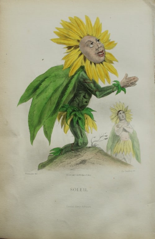 JJ Grandville - Lithograph of Les Fleurs Animees 1846: This charming lithographic print is from Les Fleurs Animees by Jean Jacques Grandville published in 1846. Grandville (pseudonym for Jean Ignace Isador Gerard 1803-1847) worked as an illustrator, paint