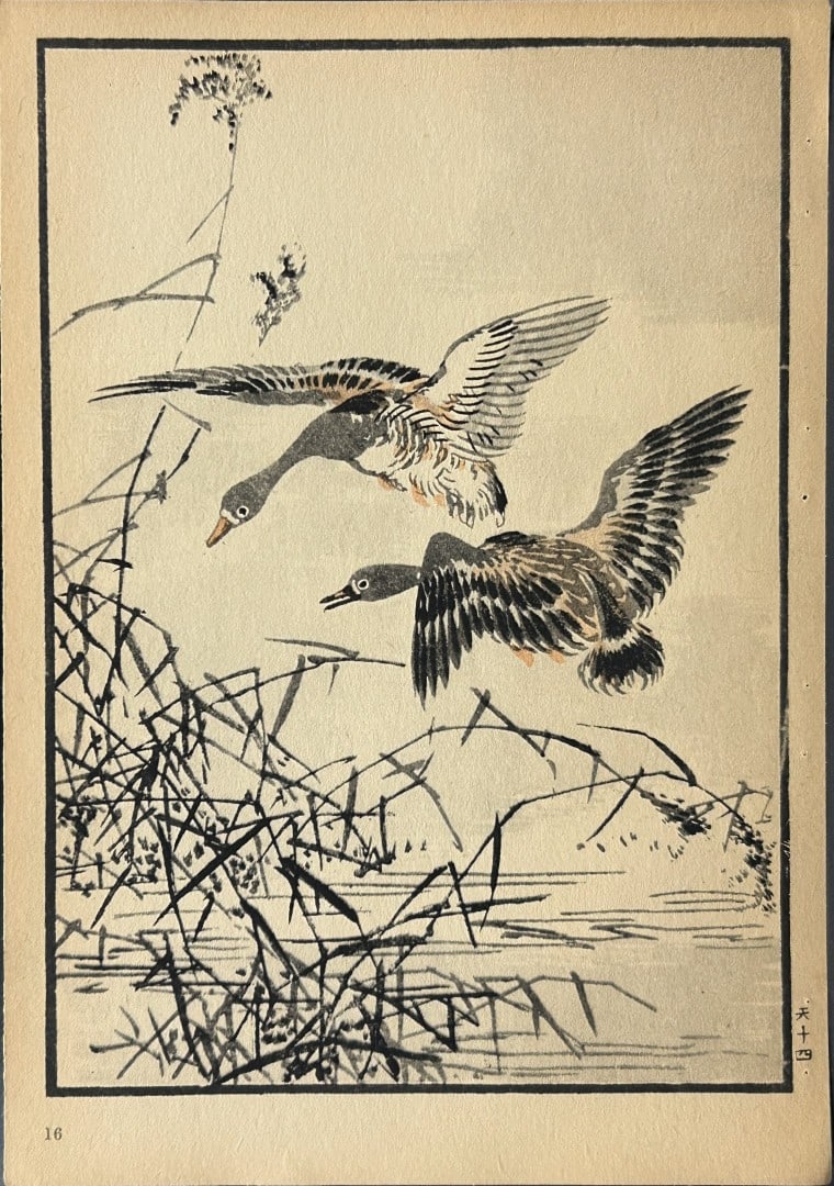 Kono Bairei - 2 Japanese woodblock prints of birds and flowers 1952: These woodblocks prints are from Vogel und Blumen (Birds and flowers) from Japanese master woodblock prints after the artist Kono Bairei.Published in Leipzig by Ernst Wunderlich Verlag, 1952.Size: 9.5