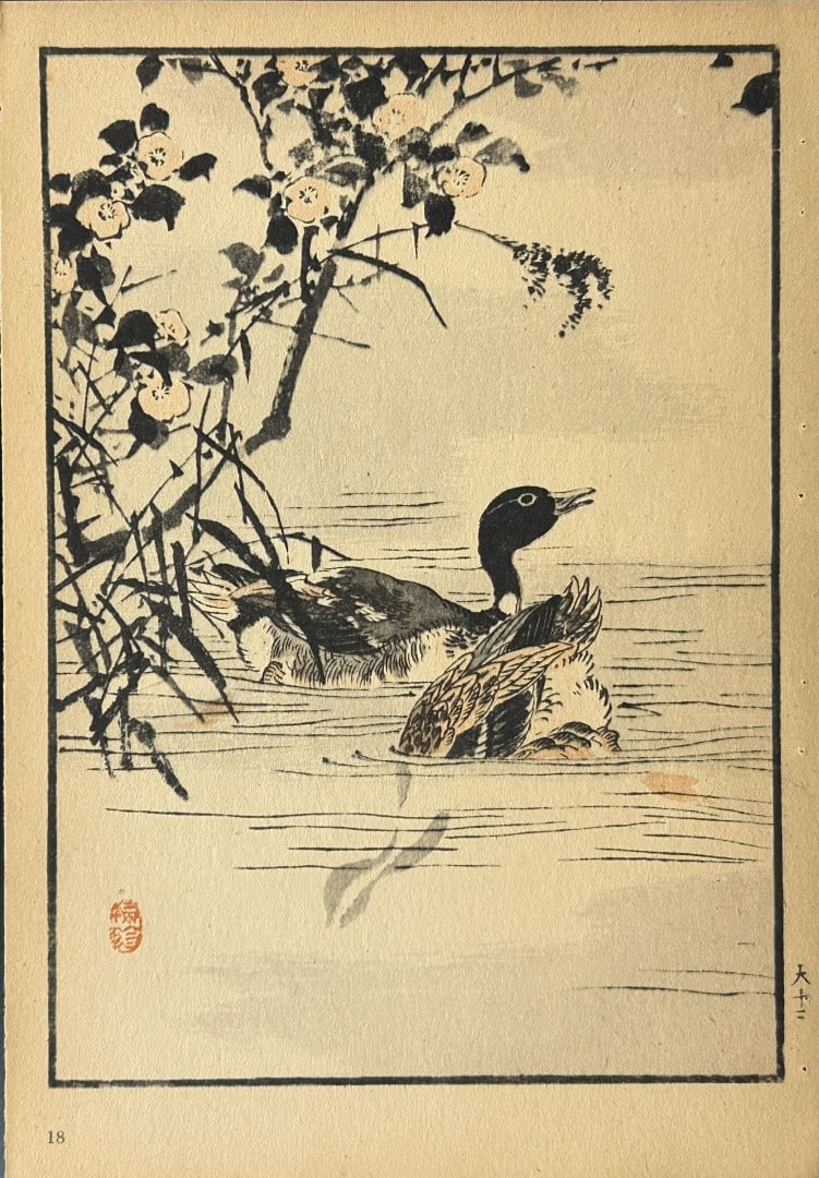 Kono Bairei - 2 Japanese woodblock prints of birds and flowers 1952: These woodblocks prints are from Vogel und Blumen (Birds and flowers) from Japanese master woodblock prints after the artist Kono Bairei.Published in Leipzig by Ernst Wunderlich Verlag, 1952.Size: 9.5