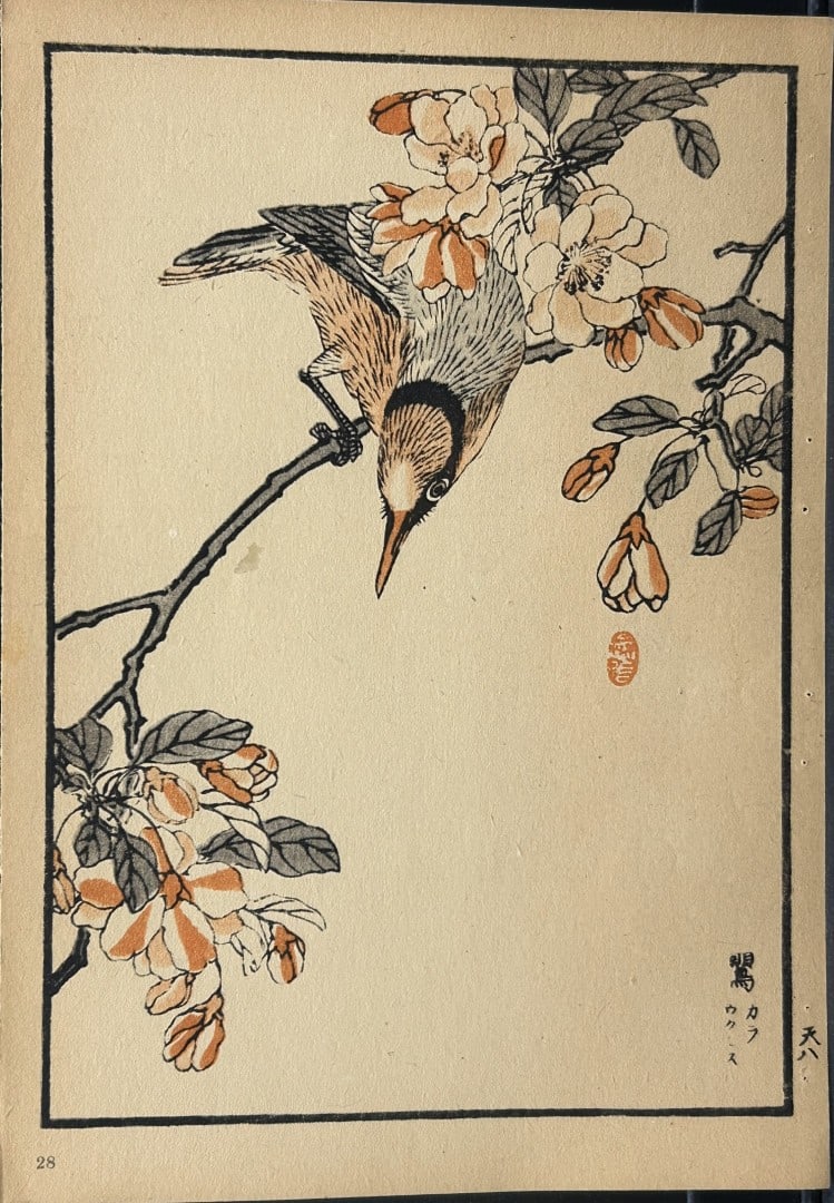 Kono Bairei - 2 Japanese woodblock prints of birds and flowers 1952: These woodblocks prints are from Vogel und Blumen (Birds and flowers) from Japanese master woodblock prints after the artist Kono Bairei.Published in Leipzig by Ernst Wunderlich Verlag, 1952.Size: 9.5