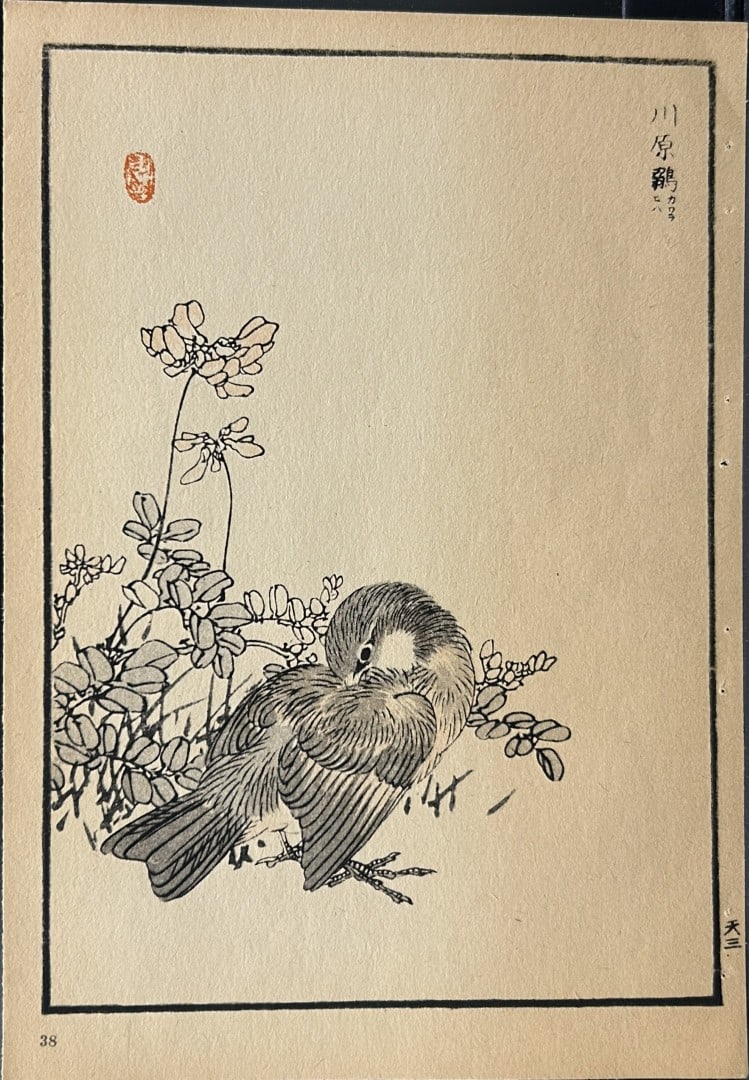 Kono Bairei - 2 Japanese woodblock prints of birds and flowers 1952: These woodblocks prints are from Vogel und Blumen (Birds and flowers) from Japanese master woodblock prints after the artist Kono Bairei.Published in Leipzig by Ernst Wunderlich Verlag, 1952.Size: 9.5