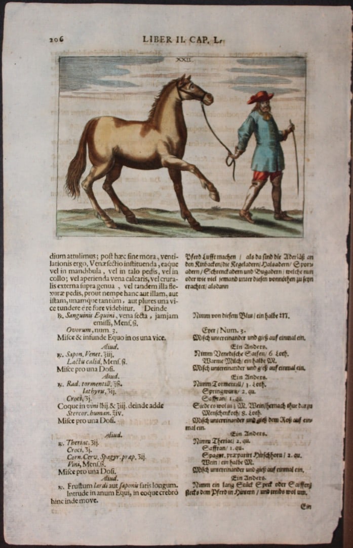 Georg Winter - Rare Bellerophon engraving of dressage training 1678: This rare hand-coloured dressage print is from Bellerophon, sive eques peritus?. by Georg Winter and engraved by Peter Paul Tr?schel , published in Nuremberg 1678. Georg Simon Winter von Adlersfl?gel