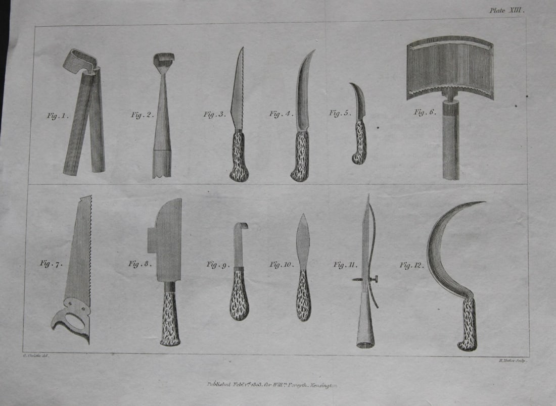 William Forsyth - Plate XIII on the pruning and training of fruit trees 1803: This copper plate engraving is from A Treatise on the Culture and Management of Fruit Trees by William Forsyth. Published by Longman, Hurst, Rees, Orme and Brown, London 1818.Forsyth was gardener to H