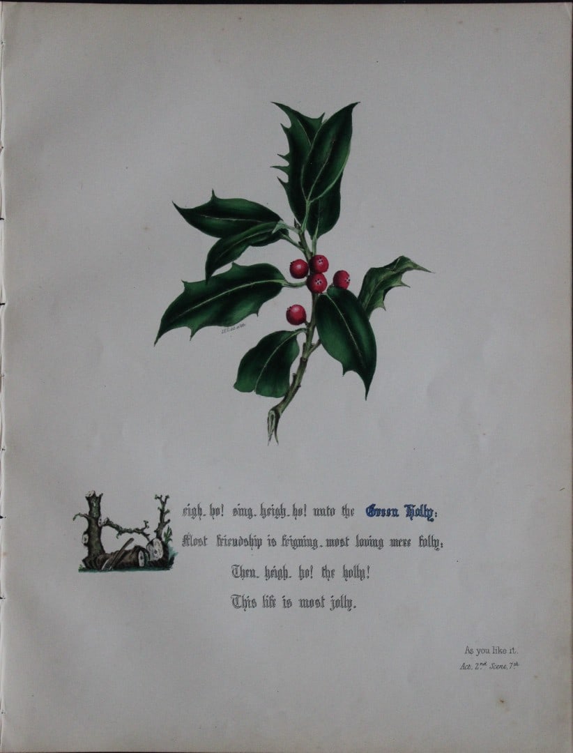Jane E Giraud - Hand coloured print from Flowers of Shakespeare 1845: This original hand-coloured floral print is from The Flowers of Shakespeare by Jane Elizabeth Giraud, Published privately, Faversham, 1845. These prints are beautifully illustrated and are accompanied