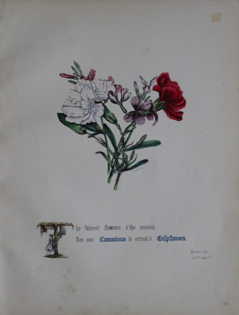 Jane E Giraud - Hand coloured print from Flowers of Shakespeare 1845: This original hand-coloured floral print is from The Flowers of Shakespeare by Jane Elizabeth Giraud, Published privately, Faversham, 1845. These prints are beautifully illustrated and are accompanied