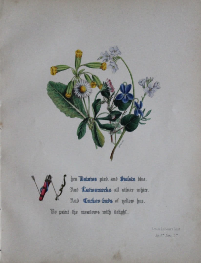 Jane E Giraud - Hand coloured print from Flowers of Shakespeare 1845: This original hand-coloured floral print is from The Flowers of Shakespeare by Jane Elizabeth Giraud, Published privately, Faversham, 1845. These prints are beautifully illustrated and are accompanied