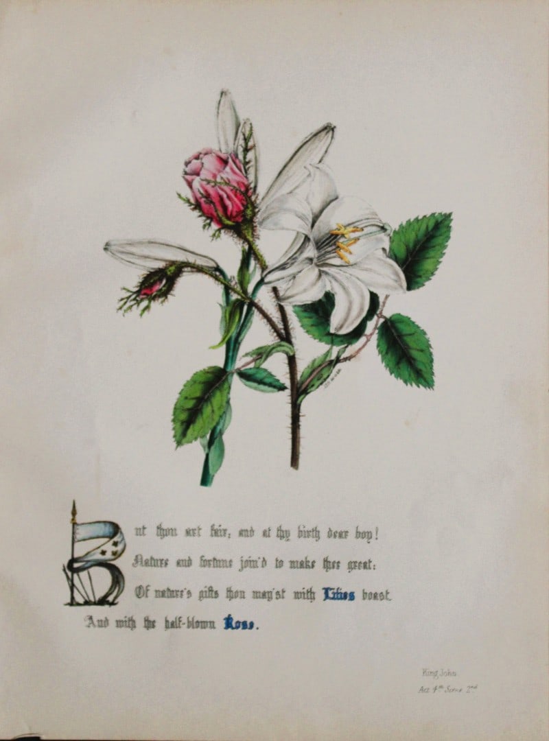 Jane E Giraud - Hand coloured print from Flowers of Milton 1846: This original hand coloured print of is from The Flowers of Milton by Jane Elizabeth Giraud, Published privately, Faversham, 1846. This print is beautifully illustrated and is accompanied with the ill