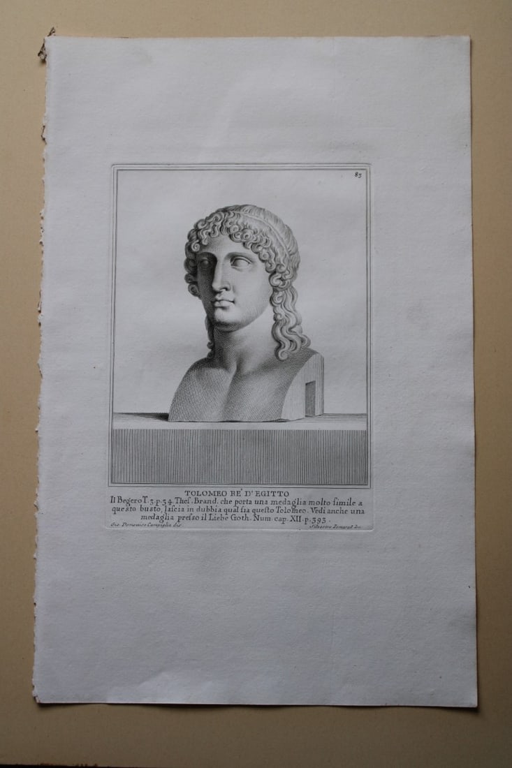 Giovanni Campiglia- Bust of Tolomeo Re D'Egitto by Silvestro Pomared 1741: This engraving is from Del Museo Capitolino, Tomo I, Contente Immagi D'vomini illusti by Giovanni Bottari. Rome: si vente alla Calcografia Cambrale al Piede di Marmo 1741, Title translates as: Of the 