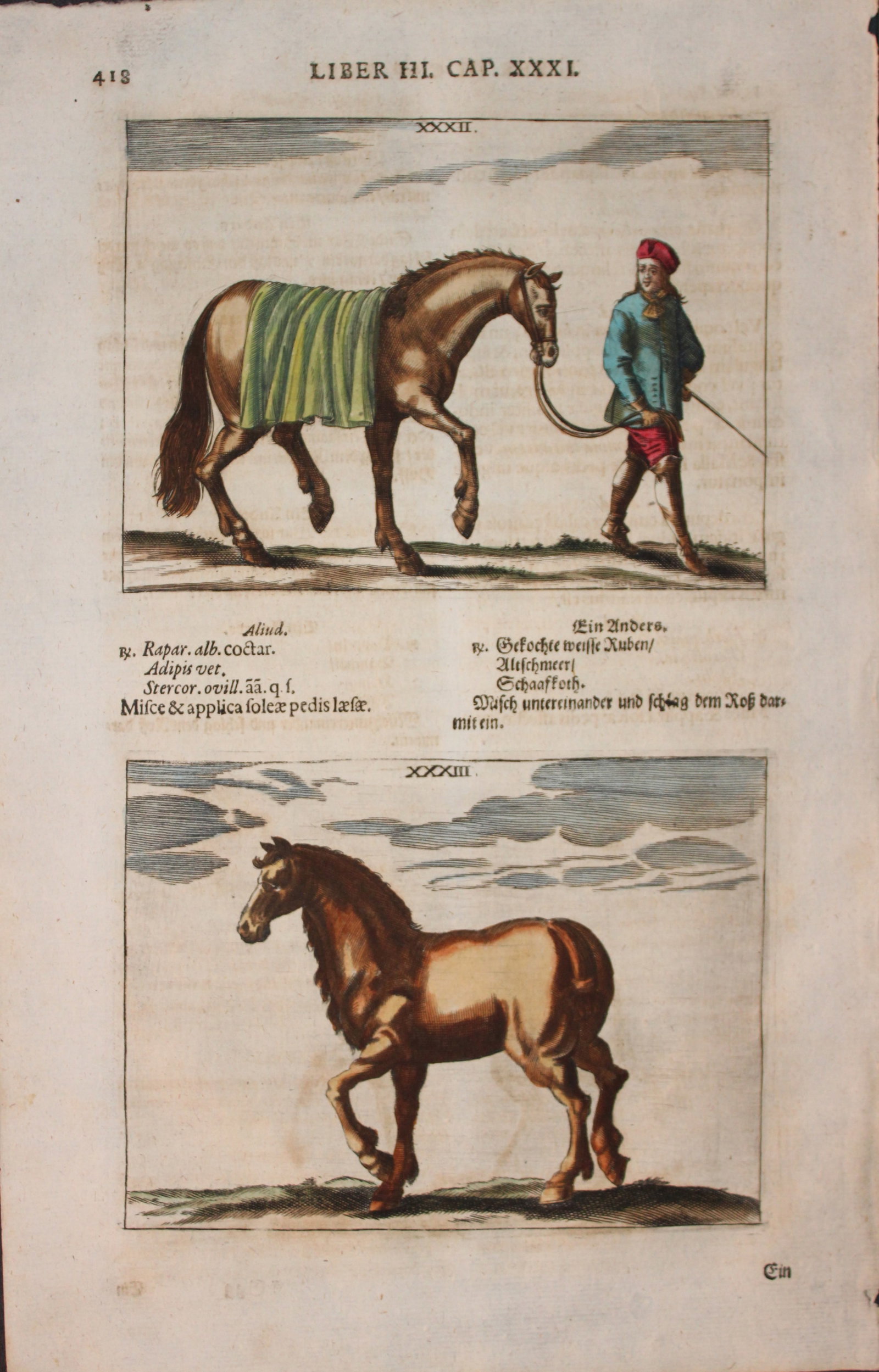 Georg Winter - Rare Bellerophon engraving of dressage training 1678 (1 of 1)