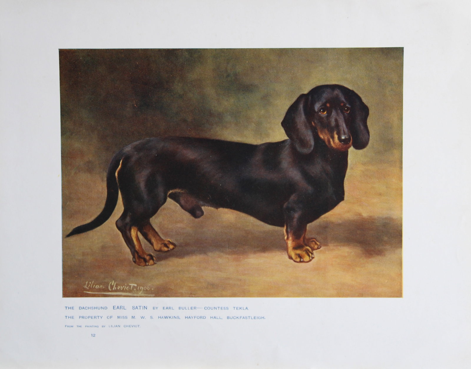 Chromolithograph of a Dachshund after Lilian Cheviot 1907 (1 of 1)