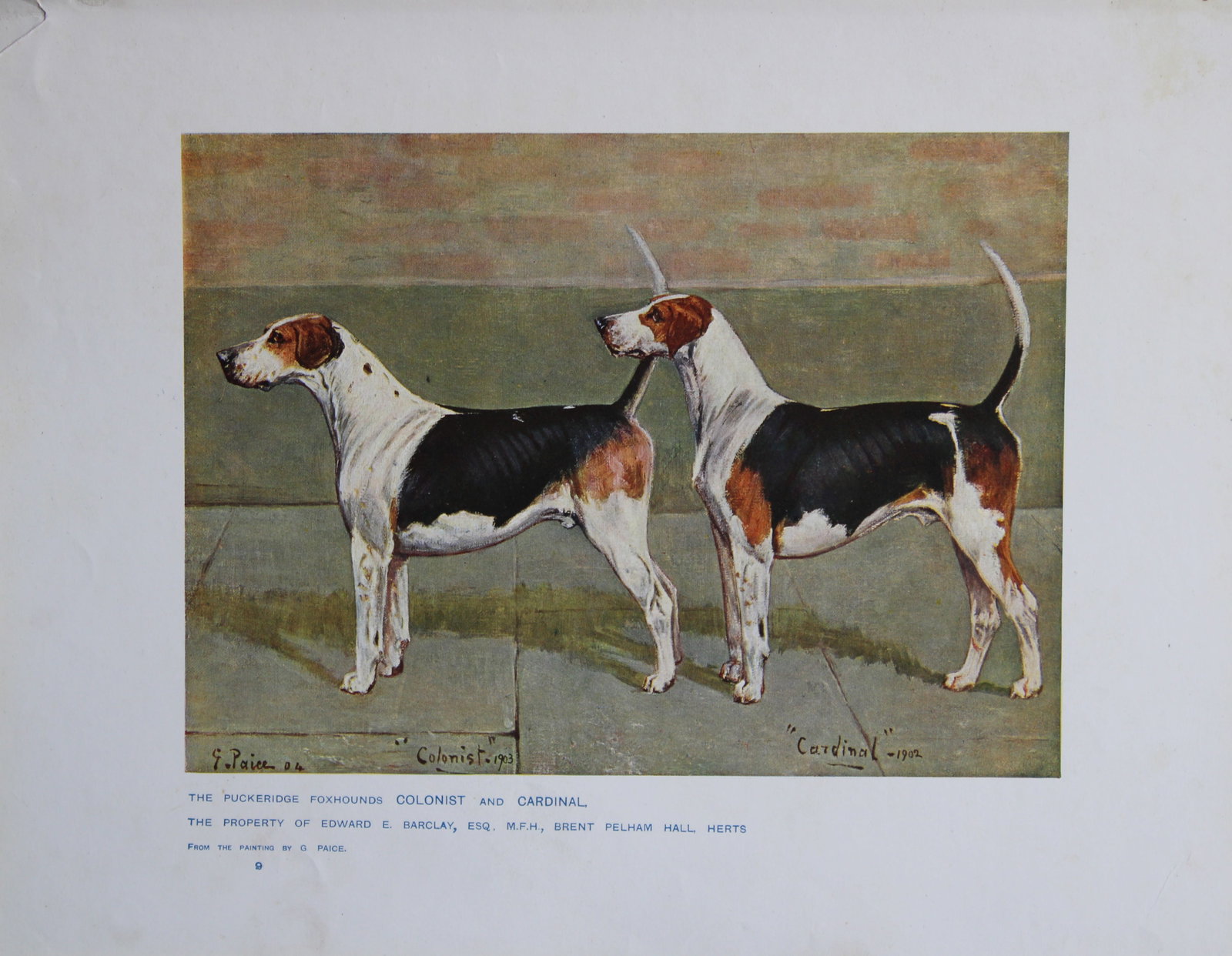 Chromolithograph of Puckeridge Hounds after G Price 1907 (1 of 1)