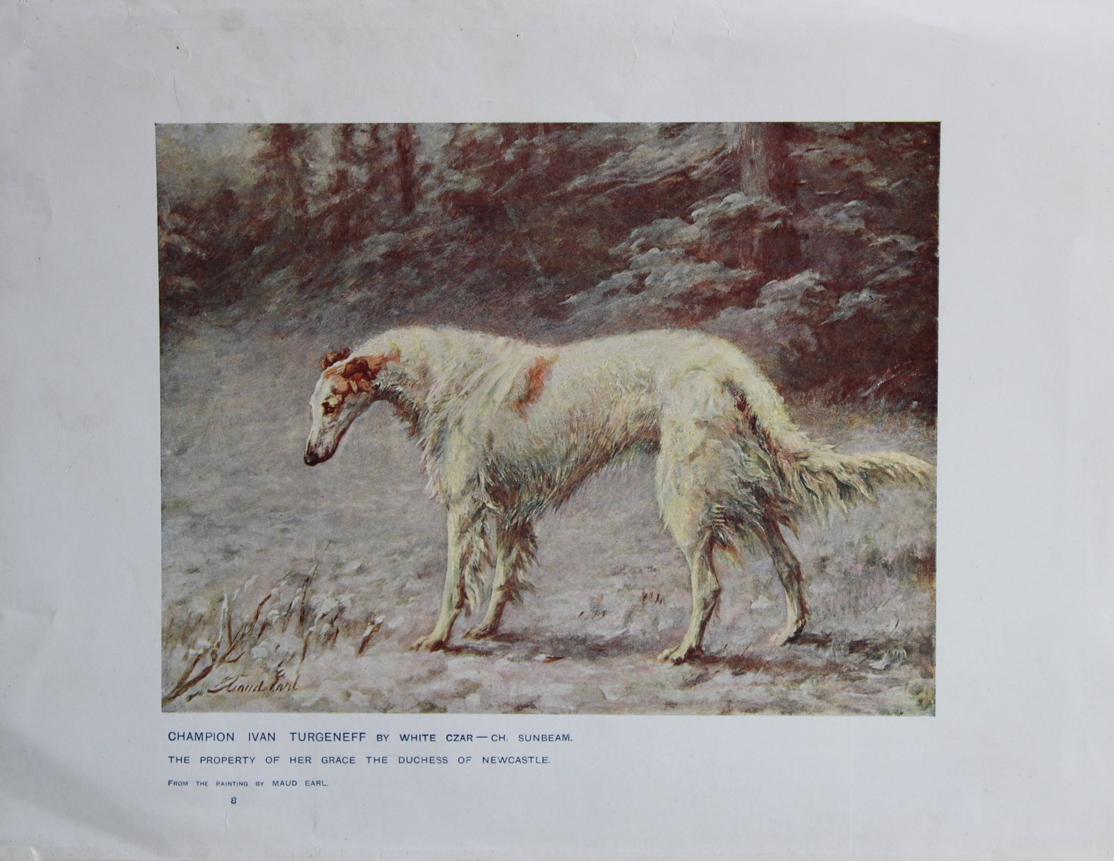 Chromolithograph of a Borzoi 1907 (1 of 1)