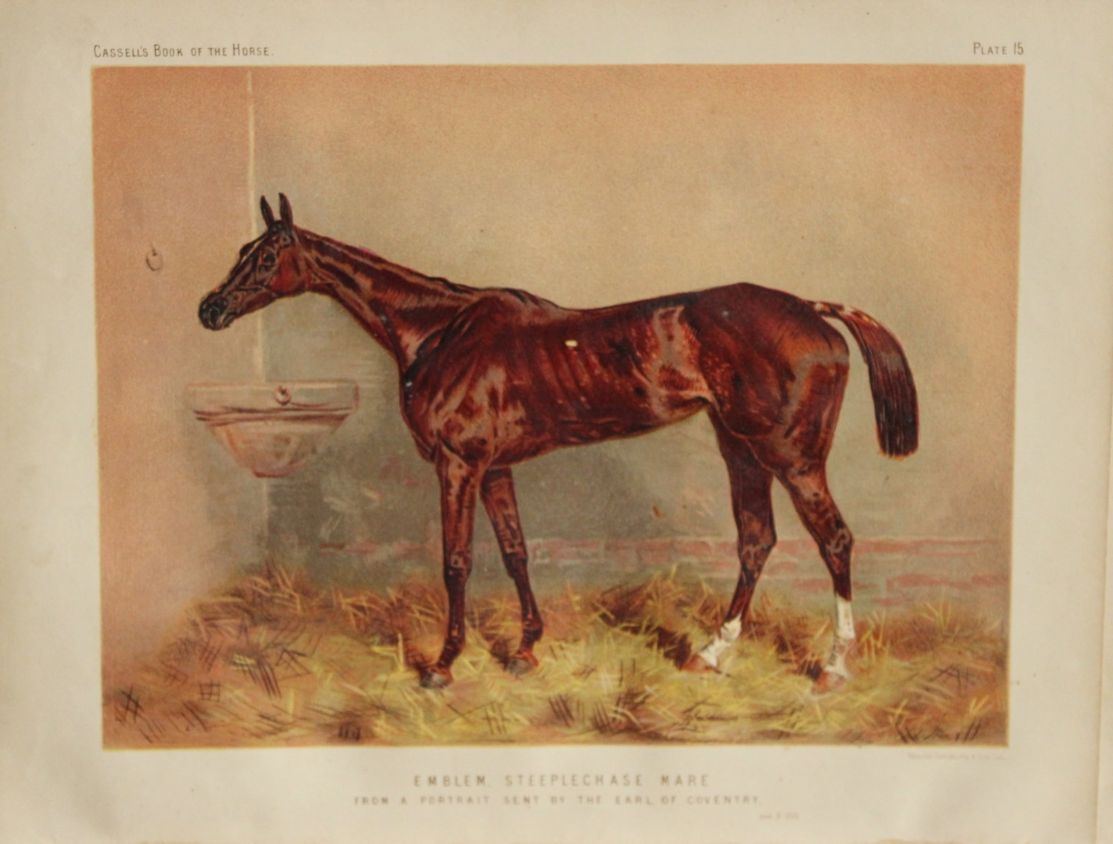 Cassell's Book of Horses - Emblem 1880 (1 of 1)