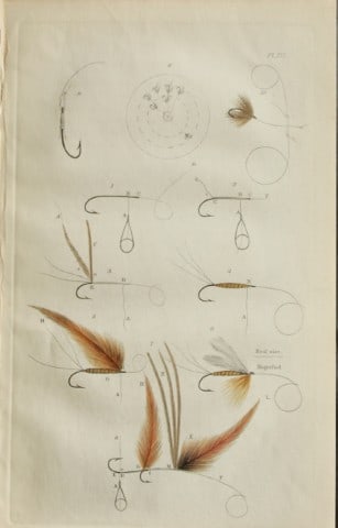 Alfred Ronald - Fly fishing engraving 1868 (1 of 1)