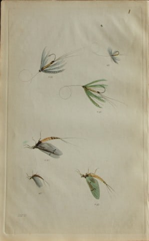 Alfred Ronald - Fly fishing engraving 1868 (1 of 1)