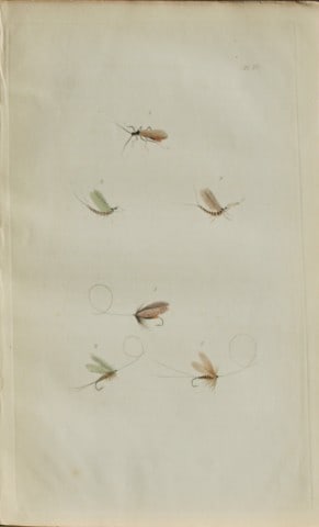 Alfred Ronald - Fly fishing engraving 1868 (1 of 1)
