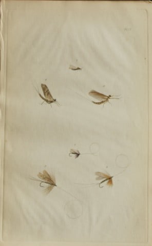 Alfred Ronald - Fly fishing engraving 1868 (1 of 1)