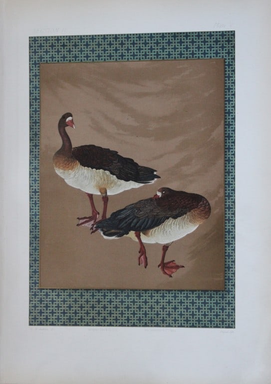 George A Audsley - The Ornamental Arts of Japan 1882: This beautiful chromolithographic print is from The Ornamental Arts of Japan by George Ashdown Audsley. 1st edition, published by Sampson Low, Marston, Searle, & Rivington, London 1882-4, This grand w