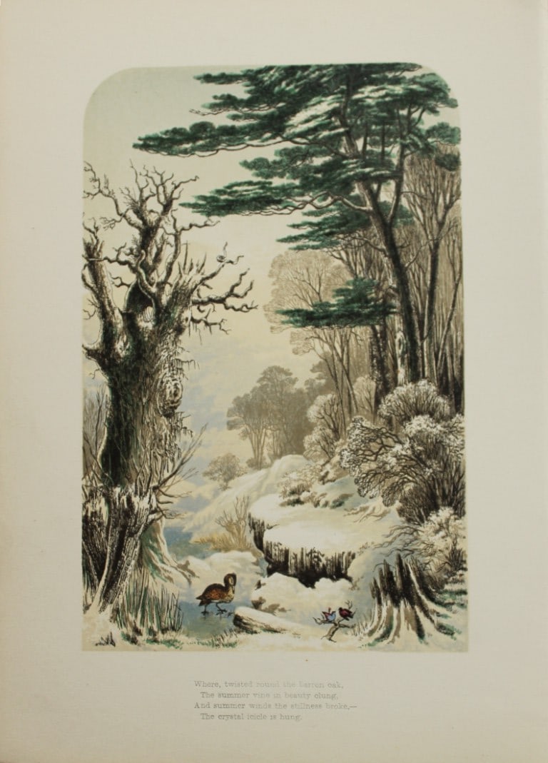 AF Lydon - Woods in Winter (Longfellow) from Gems from the Poets 1860 (1 of 1)