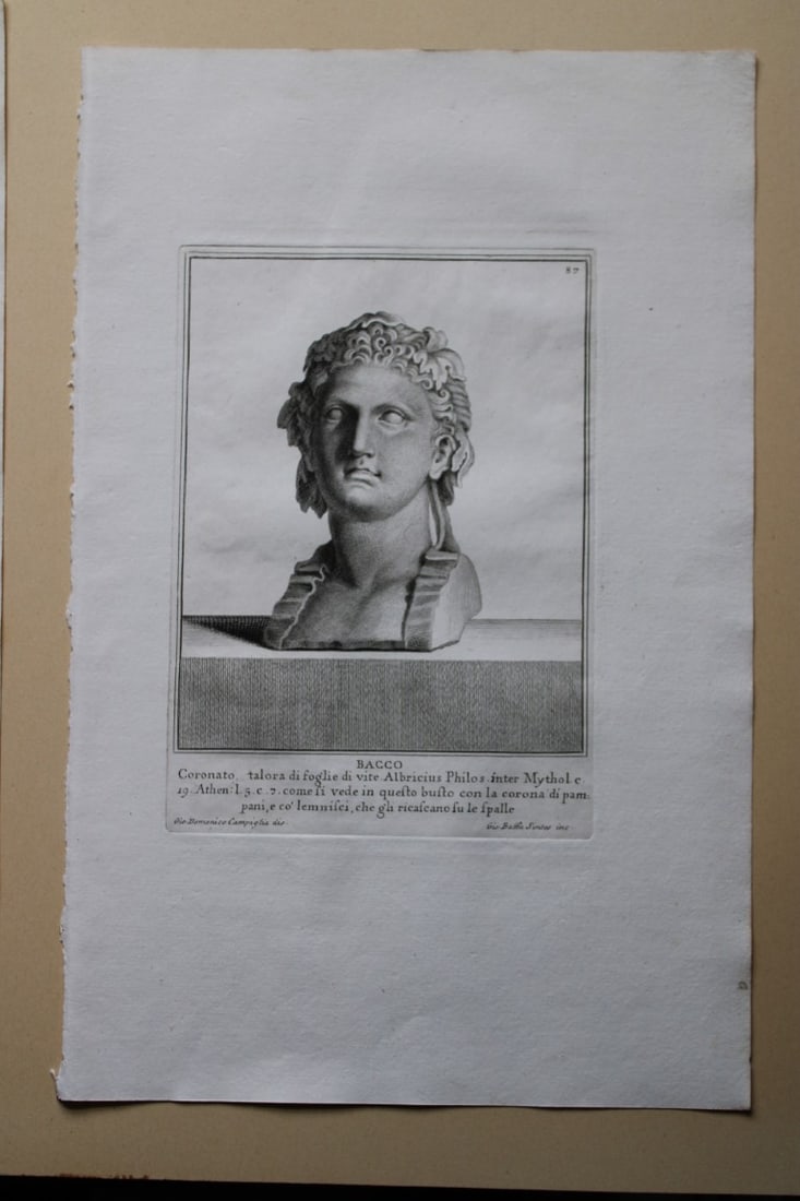 Giovanni Campiglia- Bust of Bacco 2 by Giovanni Batta Sintes 1741: This engraving is from Del Museo Capitolino, Tomo I, Contente Immagi D'vomini illusti by Giovanni Bottari. Rome: si vente alla Calcografia Cambrale al Piede di Marmo 1741, Title translates as: Of the 