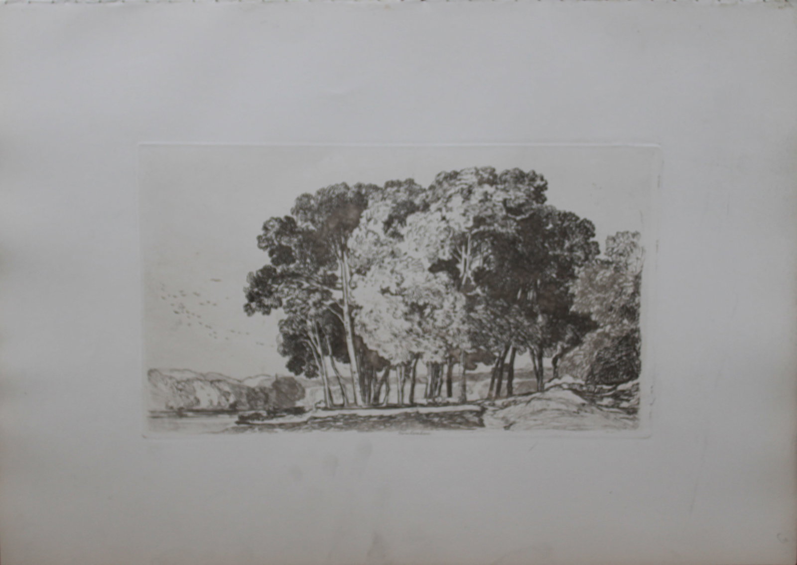JS Cotman - Trees near Twickenham, London from Liber Studiorum 1838 (1 of 1)