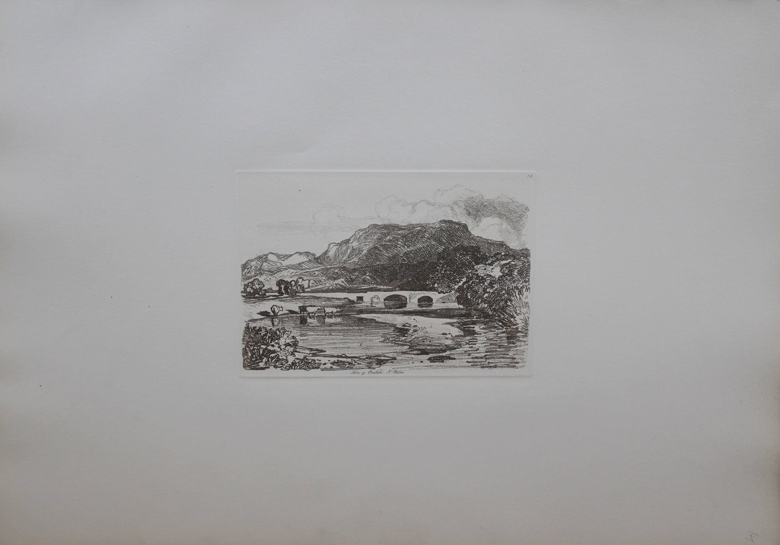 JS Cotman - Tan-y-Bwlch, Merionethshire, N Wales from Liber Studiorum 1838: Liber Studiorum by John Sell Cotman. Published in London by HG Bohn in 1838This soft-ground etching is on cream wove paper.John Sell Cotman (1782-1842) was one of the most important artists from the g