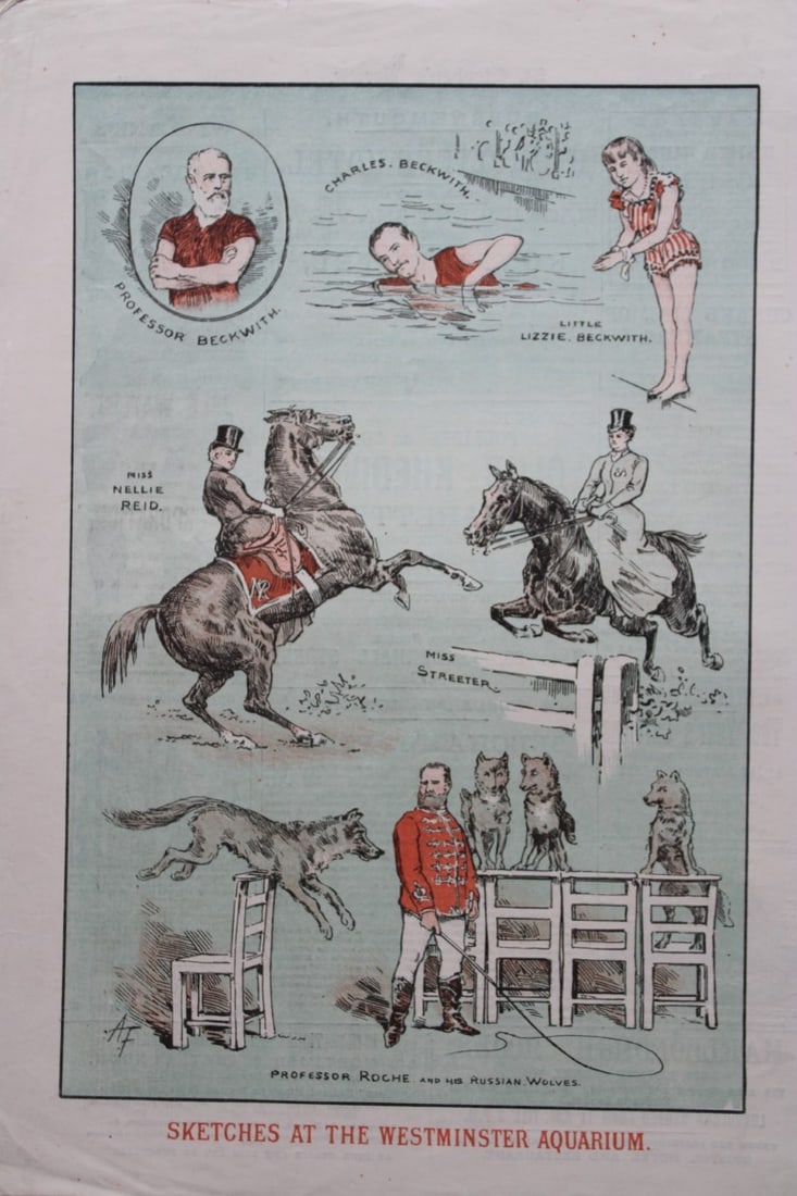 Tom Merry political cartoon - Sketches at the Westminster Aquarium 1887: This single page coloured lithograph is from St Stephen?s review by Tom Merry (the pseudonym of William Mecham). Merry was a cartoonist and political satirist who created the centrespread, in colour, 