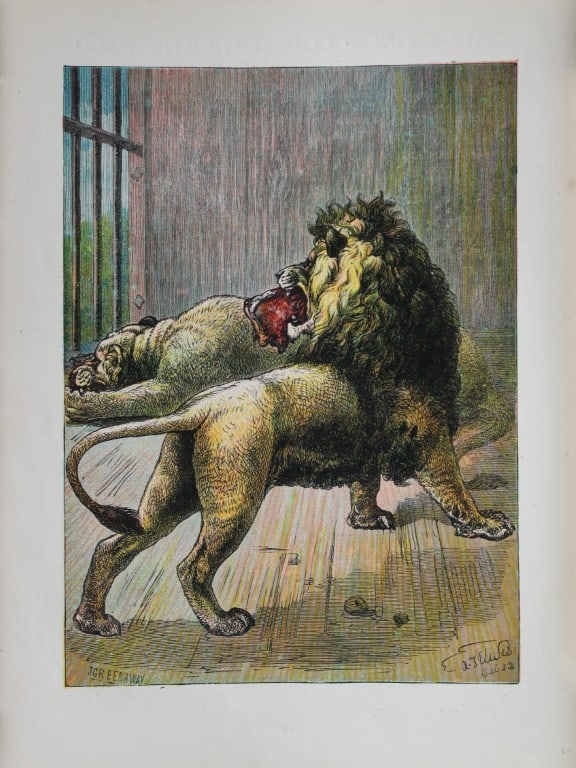 AT Elwes - Lions 1884: This print is from Little Wide Awake annual published in 1884 by George Routledge and Sons, London.The illustrations in this work were by A Baker, Gordon Browne, ME Edwards, AT Elwes, Kate Greenaway, 