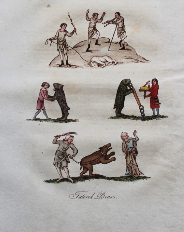 Joseph Strutt - Tutored Animals 1801: These beautifully hand-coloured engraved plates are from Glig-Gamena Angel-Deod, or, The Sports and Pastimes of the People of England by Joseph Strutt. Published by T. Bensley & J. White, London 1801.