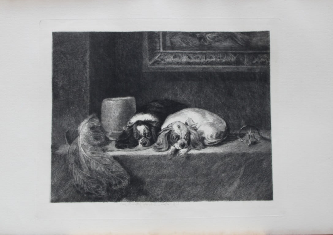 King Charles Spaniels by Edwin Landseer etched by Richeton 1884: This print is from The Portfolio, an Artistic Periodical edited by Philip Hamerton.Published by Seeley and Co, London 1885.Size: 9.5in x 13.5in