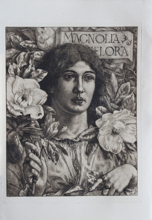 Magnolia Grandiflora by GW Rhead 1885: This print is from The Portfolio, an Artistic Periodical edited by Philip Hamerton.Published by Seeley and Co, London 1885.Size: 9.5in x 13.5in