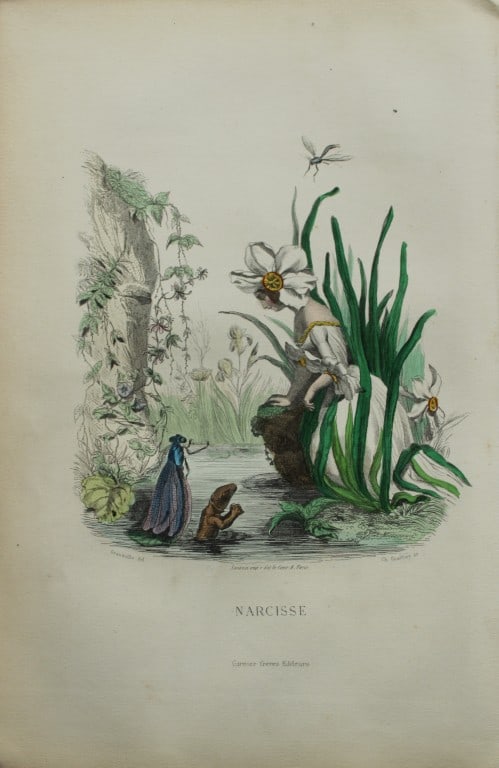 JJ Grandville - Lithograph of Les Fleurs Animees 1846: This charming lithographic print is from Les Fleurs Animees by Jean Jacques Grandville published in 1846. Grandville (pseudonym for Jean Ignace Isador Gerard 1803-1847) worked as an illustrator, paint