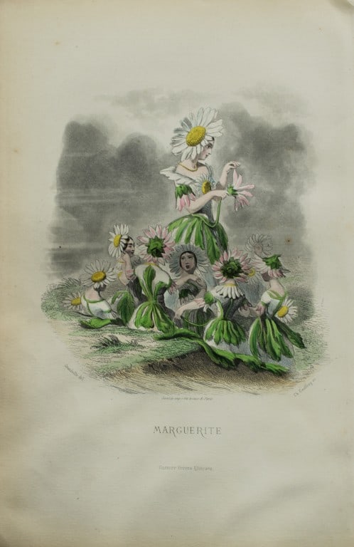 JJ Grandville - Lithograph of Les Fleurs Animees 1846: This charming lithographic print is from Les Fleurs Animees by Jean Jacques Grandville published in 1846. Grandville (pseudonym for Jean Ignace Isador Gerard 1803-1847) worked as an illustrator, paint
