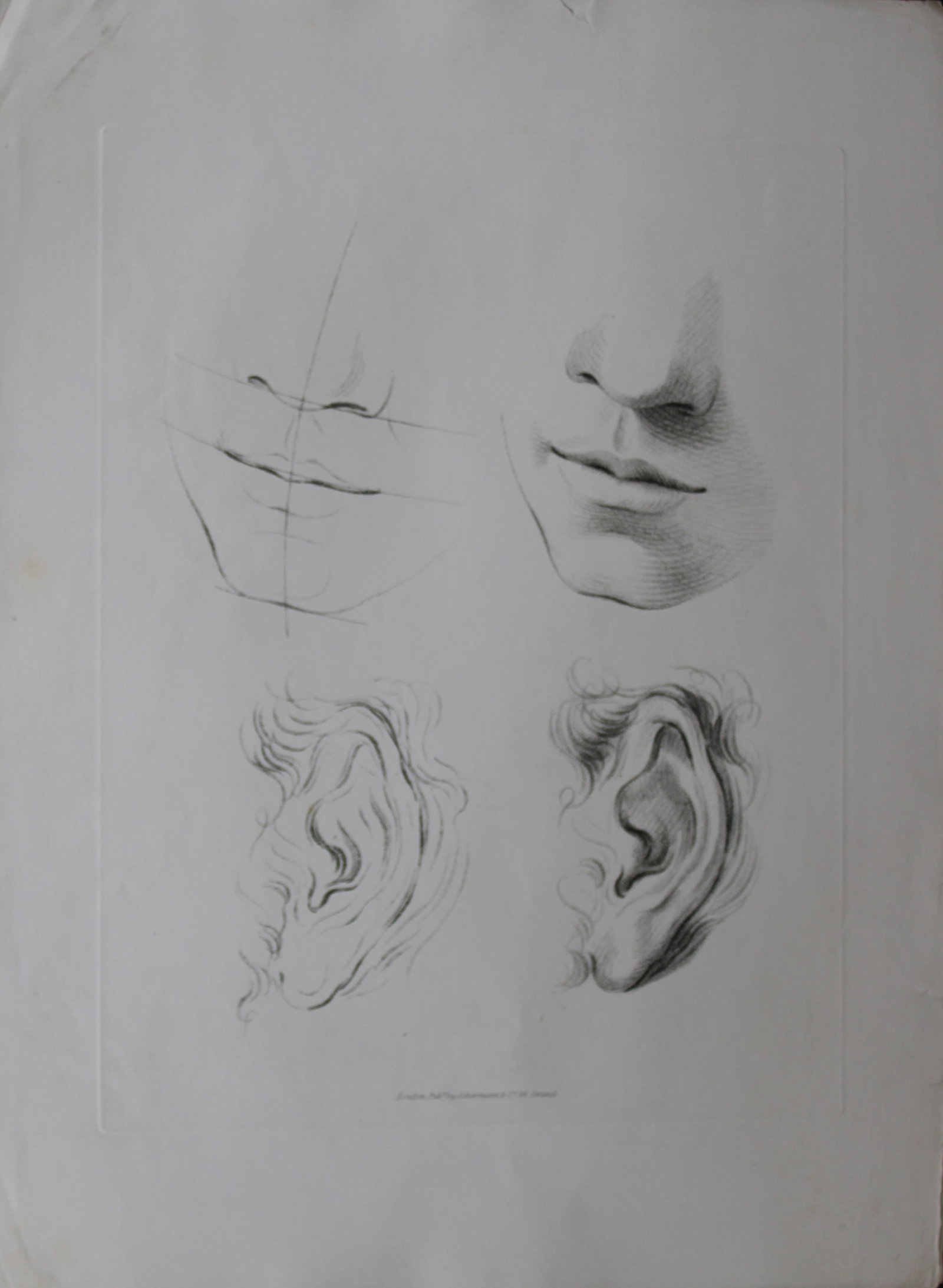 F Bartolozzi and GB Cipriani - Original engraving 1796 (1 of 2)