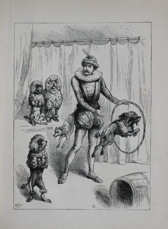AT Elwes - Poodles 1884: This print is from Little Wide Awake annual published in 1884 by George Routledge and Sons, London.The illustrations in this work were by A Baker, Gordon Browne, ME Edwards, AT Elwes, Kate Greenaway, 